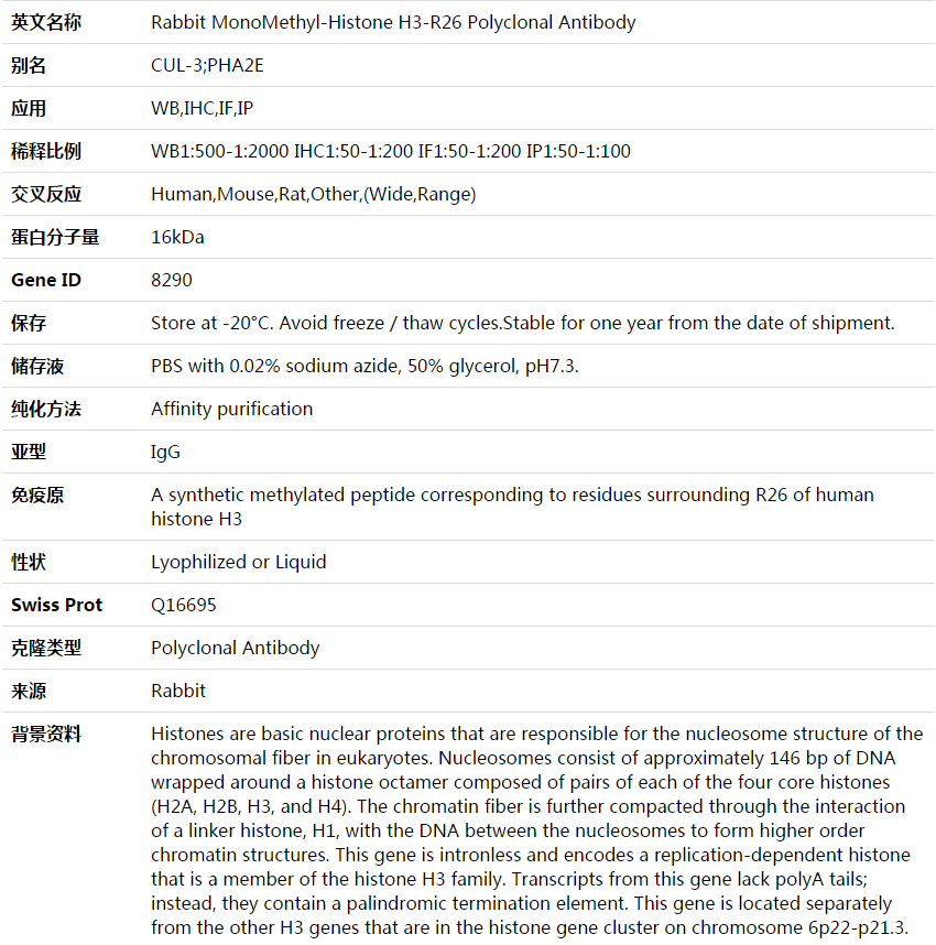 MonoMethyl-Histone H3-R26 Antibody,索莱宝,K003618P-50ul