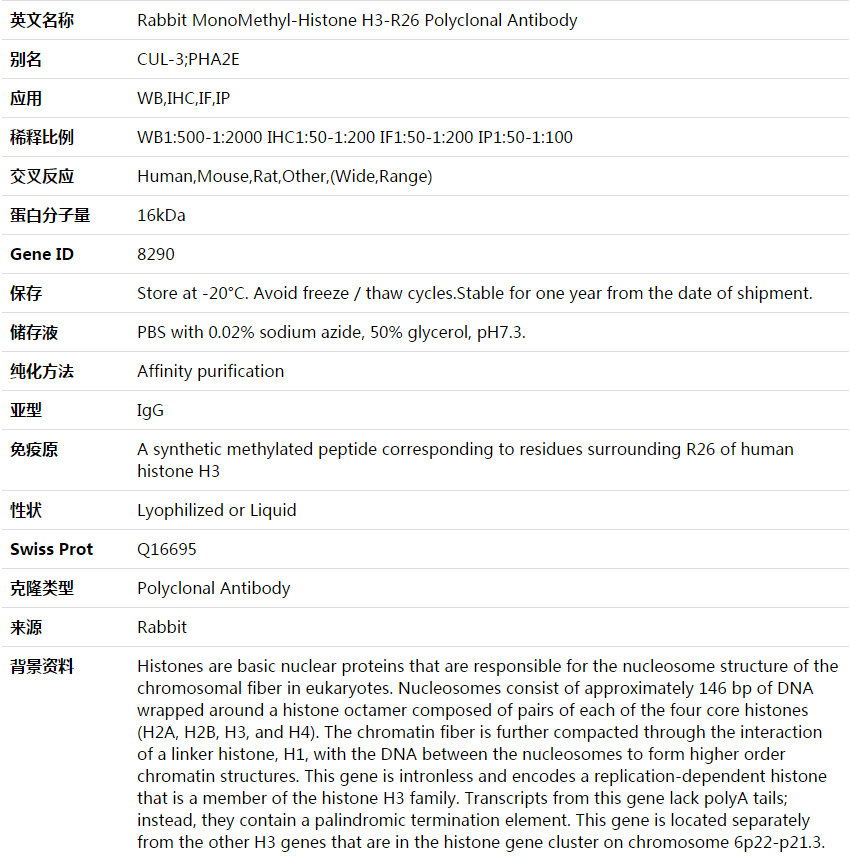 MonoMethyl-Histone H3-R26 Antibody,索莱宝,K003618P-100ul