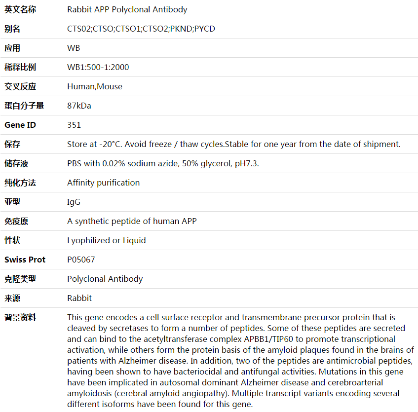 APP Antibody,索莱宝,K003616P-50ul