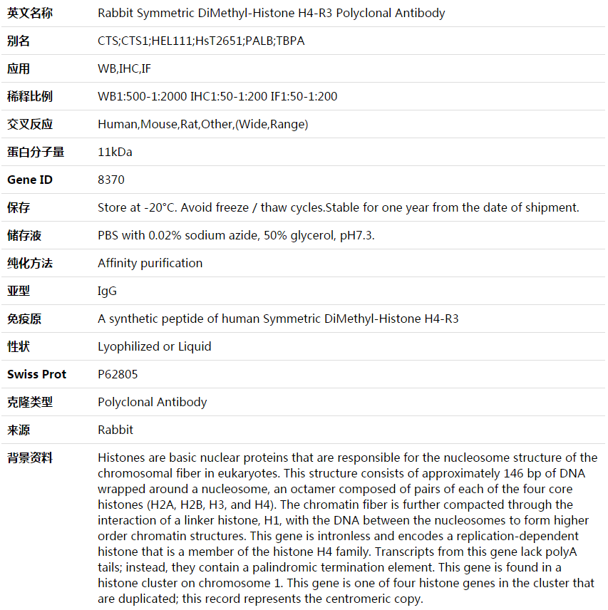 Symmetric DiMethyl-Histone H4-R3 Antibody,索莱宝,K003615P-100ul