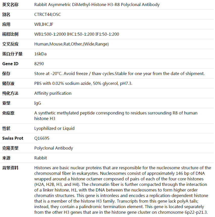 Asymmetric DiMethyl-Histone H3-R8 Antibody,索莱宝,K003614P-50ul