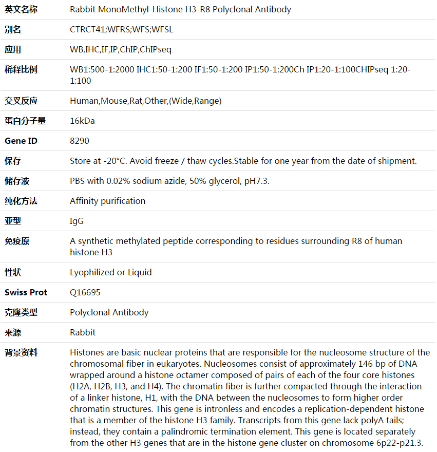 MonoMethyl-Histone H3-R8 Antibody,索莱宝,K003613P-100ul