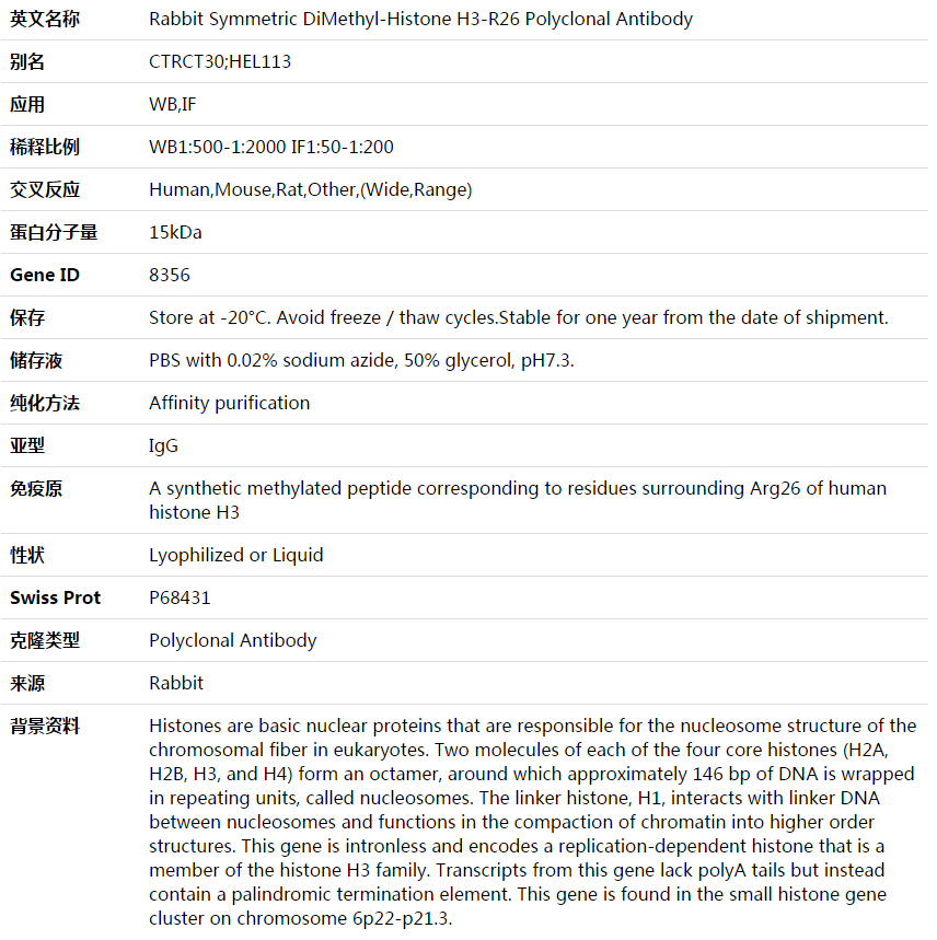 Symmetric DiMethyl-Histone H3-R26 Antibody,索莱宝,K003610P-100ul