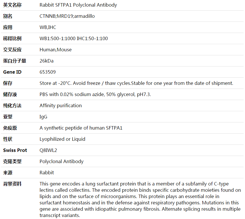 SFTPA1 Antibody,索莱宝,K003604P-30ul