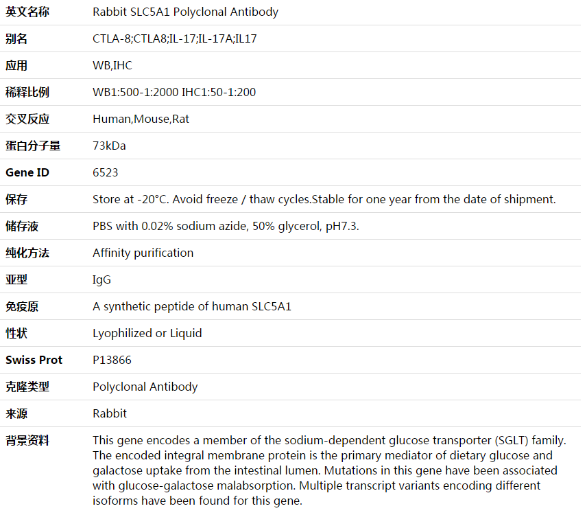 SLC5A1 Antibody,索莱宝,K003602P-50ul