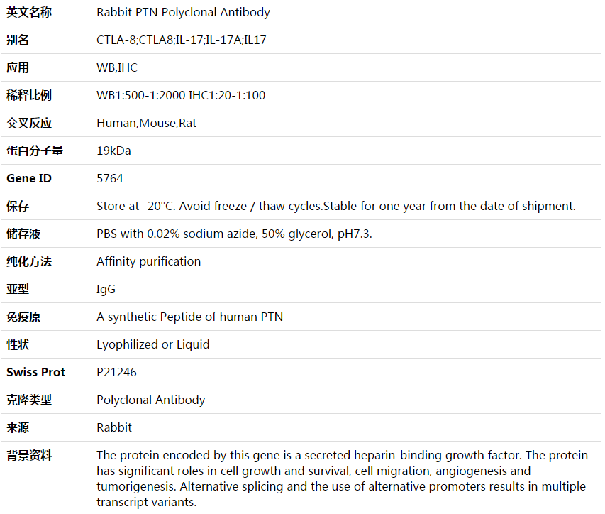 PTN Antibody,索莱宝,K003601P-50ul