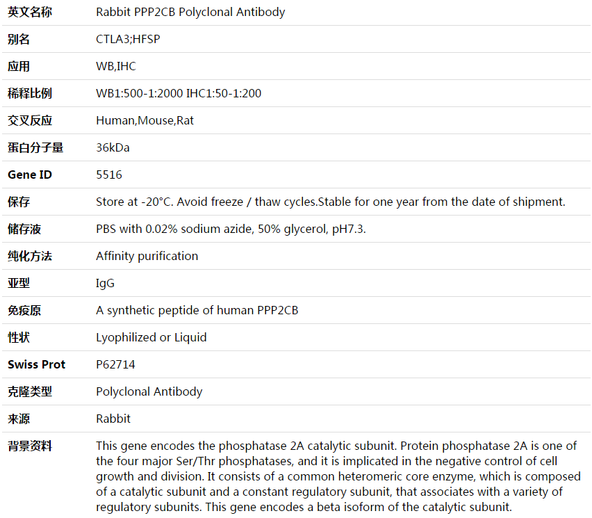 PPP2CB Antibody,索莱宝,K003600P-50ul