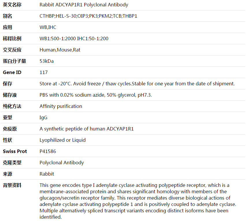 ADCYAP1R1 Antibody,索莱宝,K003599P-100ul