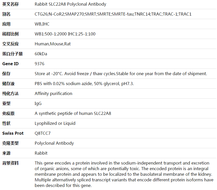 SLC22A8 Antibody,索莱宝,K003598P-50ul