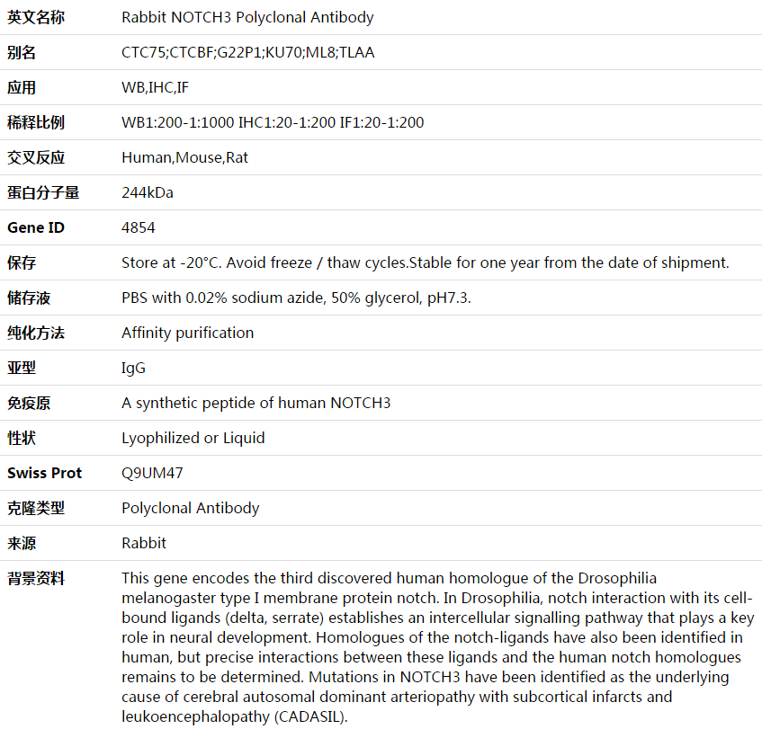 NOTCH3 Antibody,索莱宝,K003596P-30ul