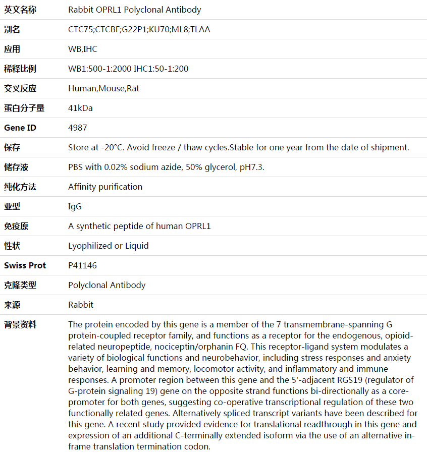 OPRL1 Antibody,索莱宝,K003595P-100ul