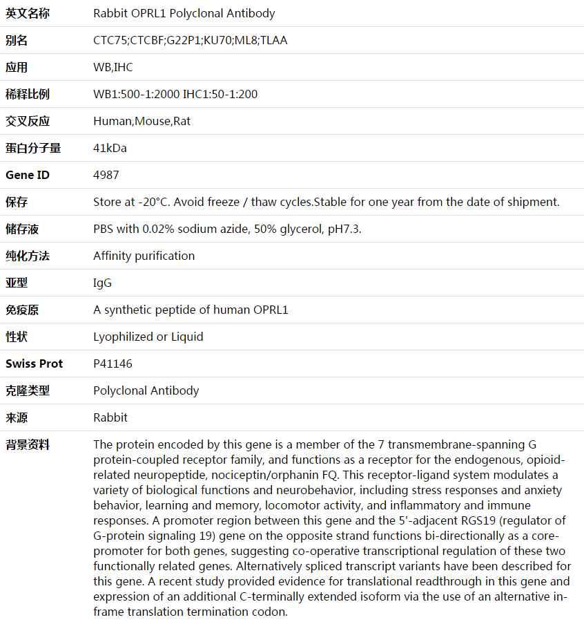 OPRL1 Antibody,索莱宝,K003595P-50ul