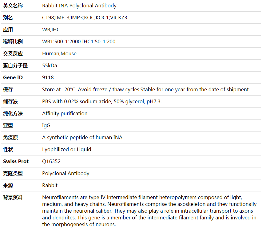 INA Antibody,索莱宝,K003593P-50ul
