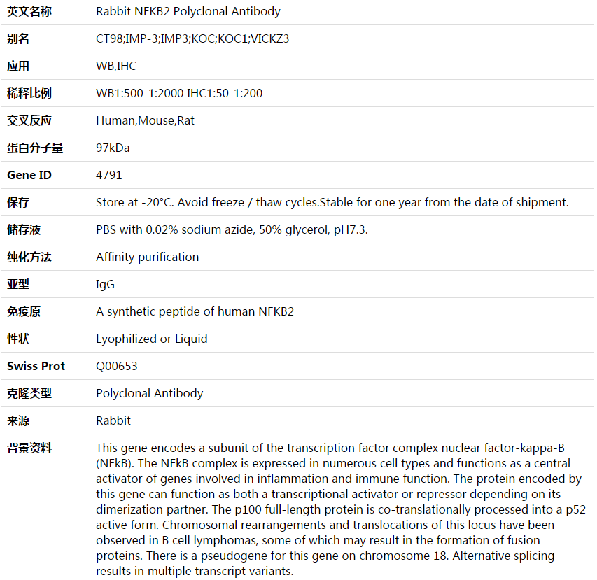 NFKB2 Antibody,索莱宝,K003592P-100ul
