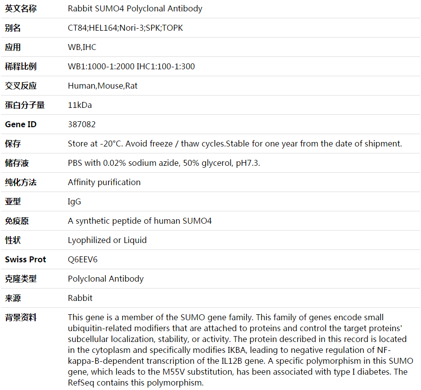 SUMO4 Antibody,索莱宝,K003590P-100ul