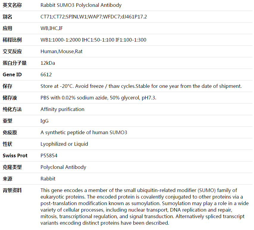 SUMO3 Antibody,索莱宝,K003589P-50ul