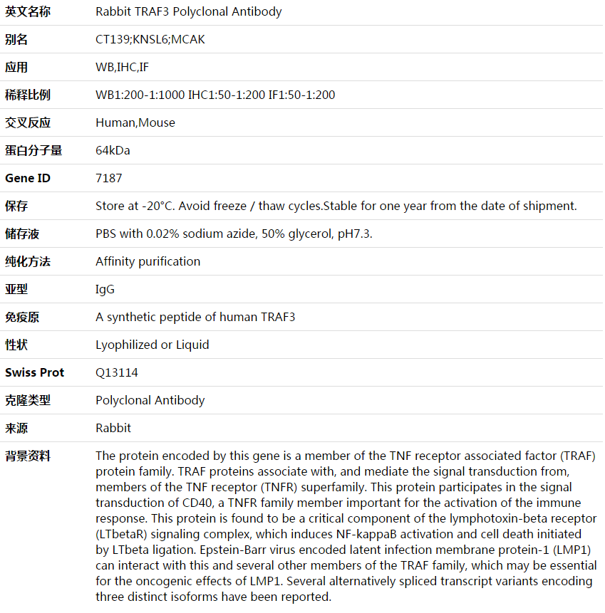 TRAF3 Antibody,索莱宝,K003586P-100ul