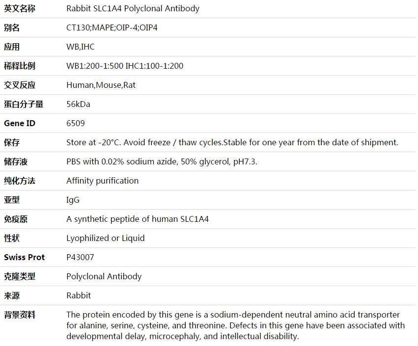 SLC1A4 Antibody,索莱宝,K003585P-100ul