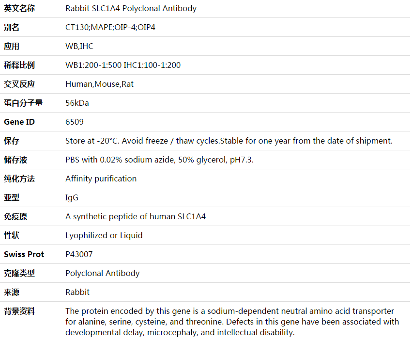 SLC1A4 Antibody,索莱宝,K003585P-30ul