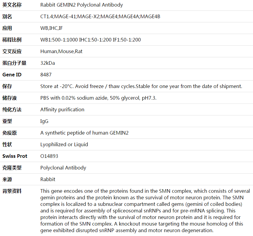 GEMIN2 Antibody,索莱宝,K003584P-50ul