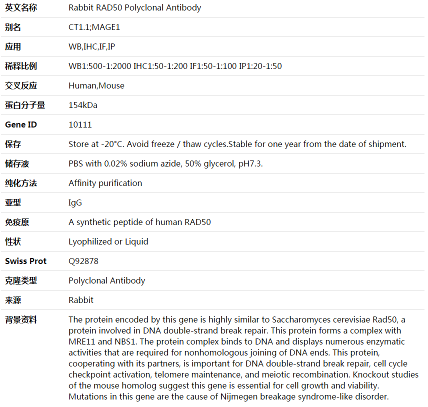 RAD50 Antibody,索莱宝,K003583P-50ul