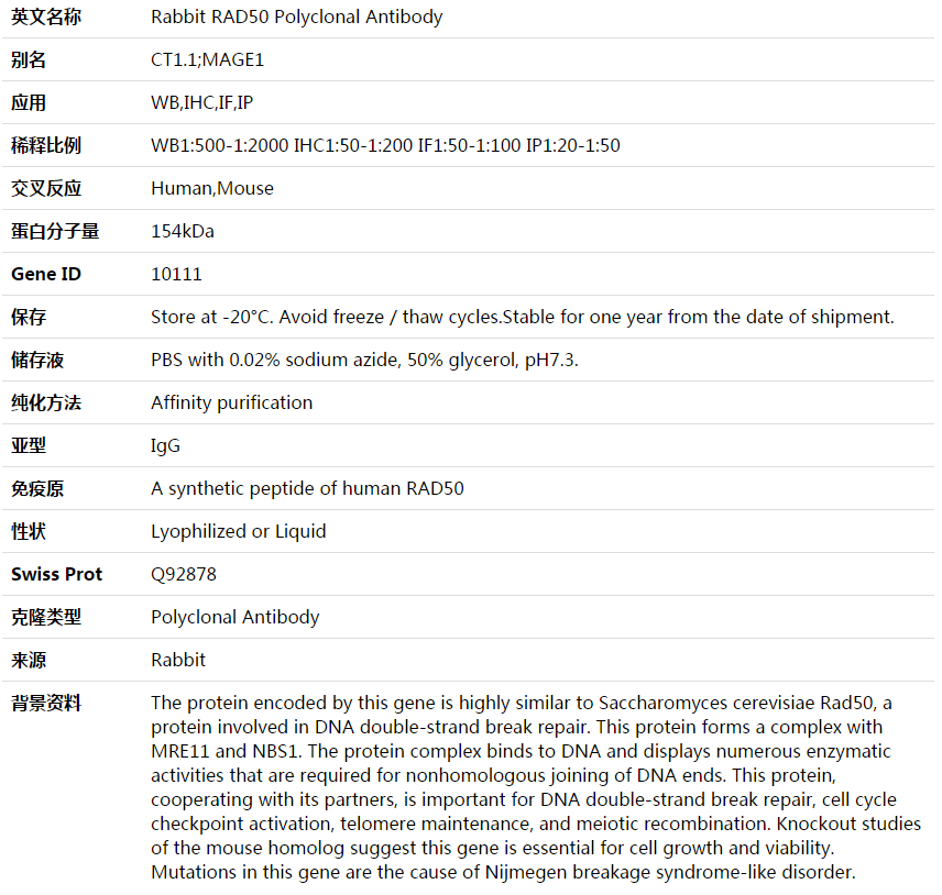 RAD50 Antibody,索莱宝,K003583P-100ul