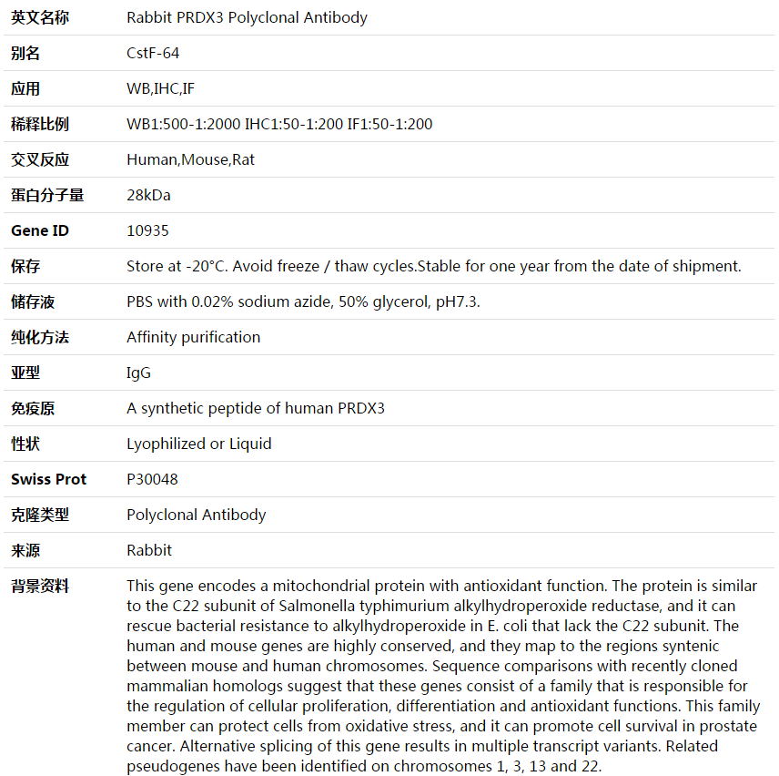 PRDX3 Antibody,索莱宝,K003581P-100ul