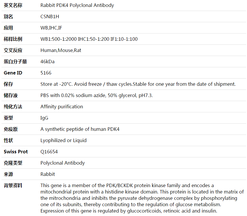 PDK4 Antibody,索莱宝,K003577P-100ul