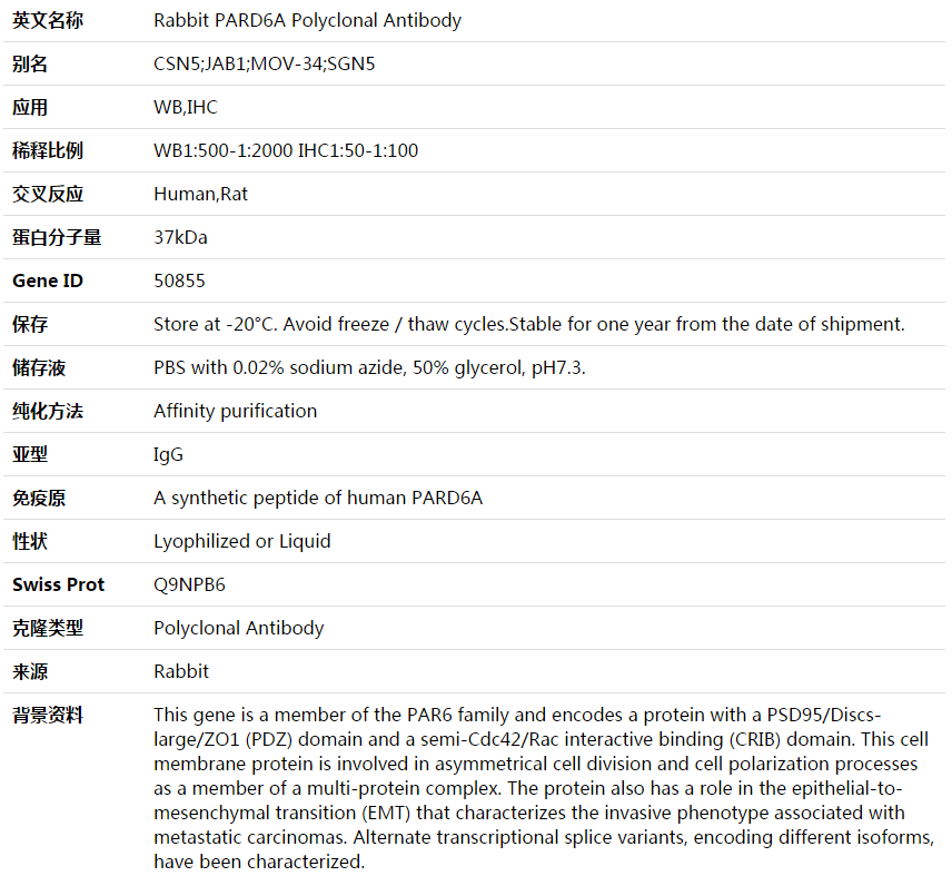 PARD6A Antibody,索莱宝,K003574P-100ul