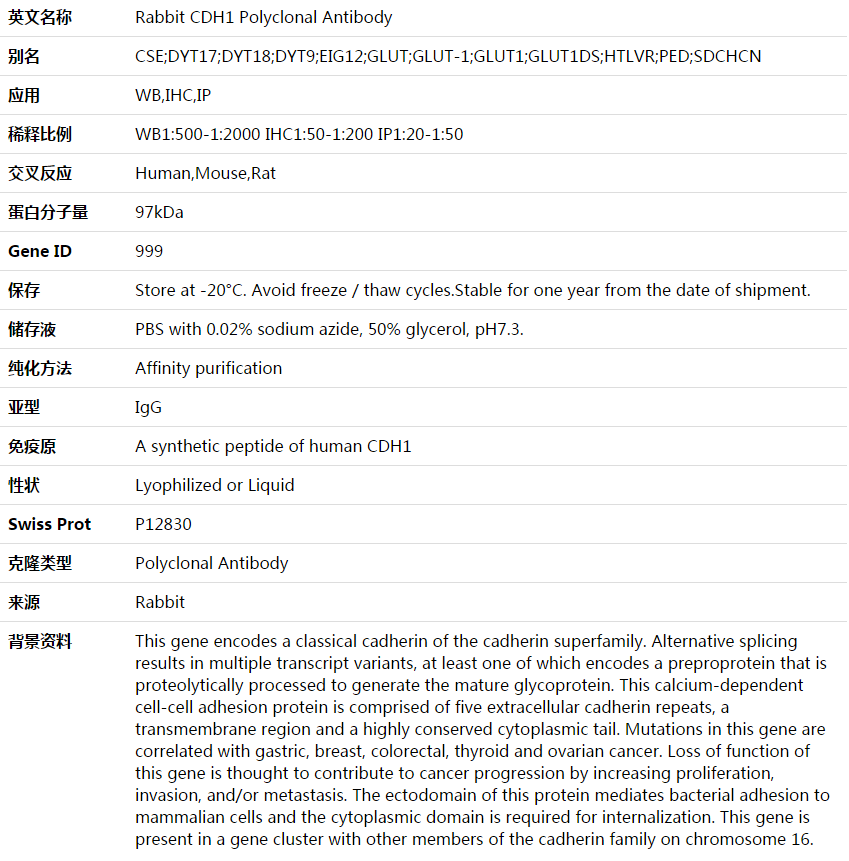 CDH1 Antibody,索莱宝,K003568P-50ul