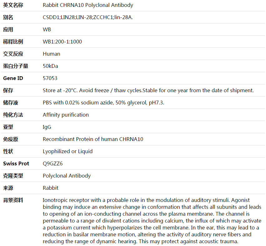 CHRNA10 Antibody,索莱宝,K003566P-100ul