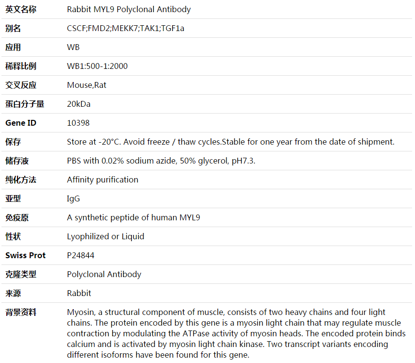 MYL9 Antibody,索莱宝,K003565P-50ul