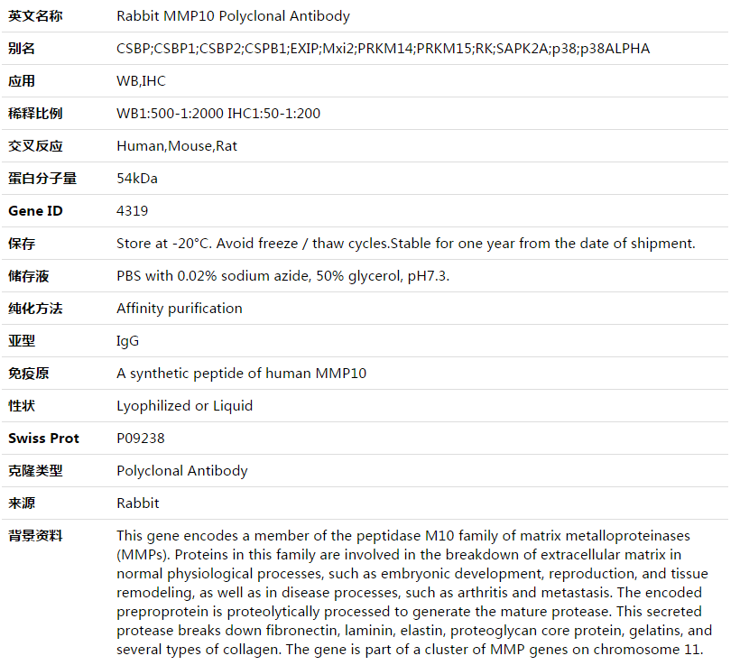 MMP10 Antibody,索莱宝,K003562P-50ul