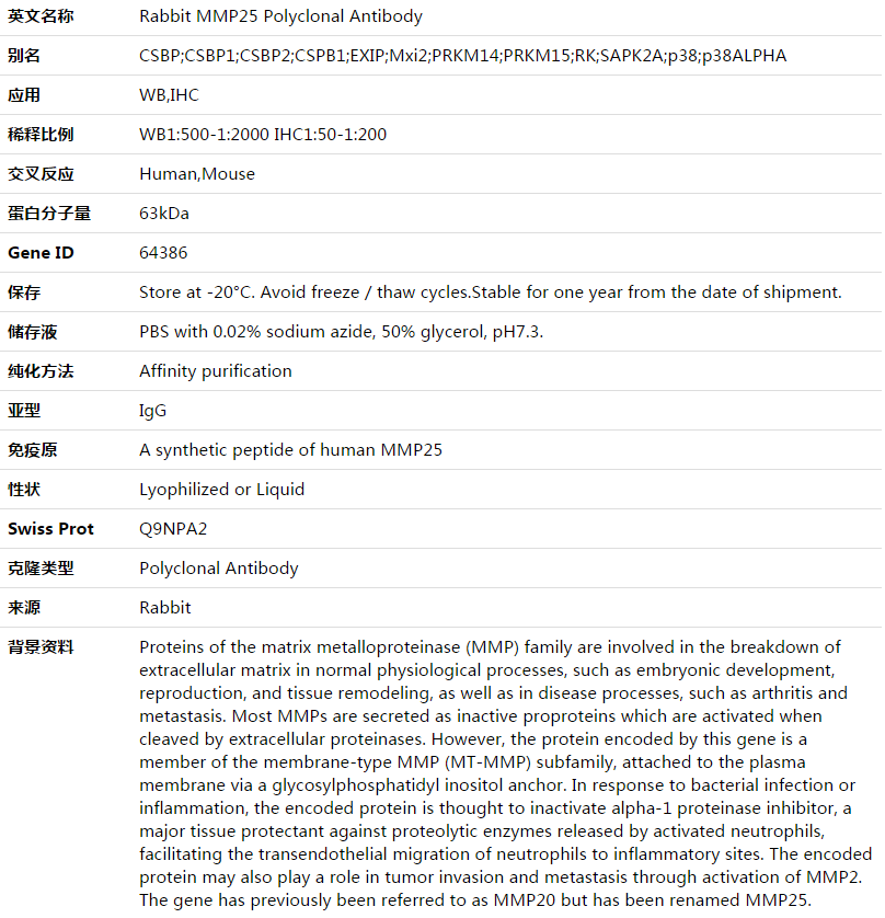 MMP25 Antibody,索莱宝,K003561P-50ul