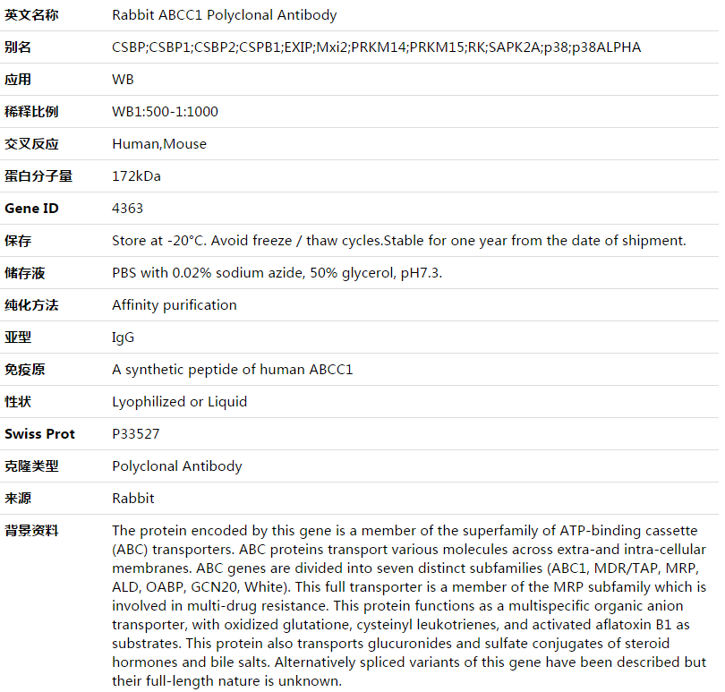 ABCC1 Antibody,索莱宝,K003560P-50ul