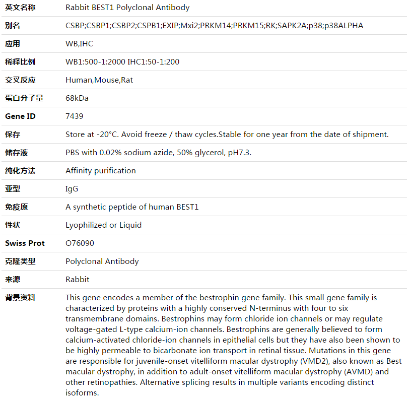 BEST1 Antibody,索莱宝,K003559P-50ul