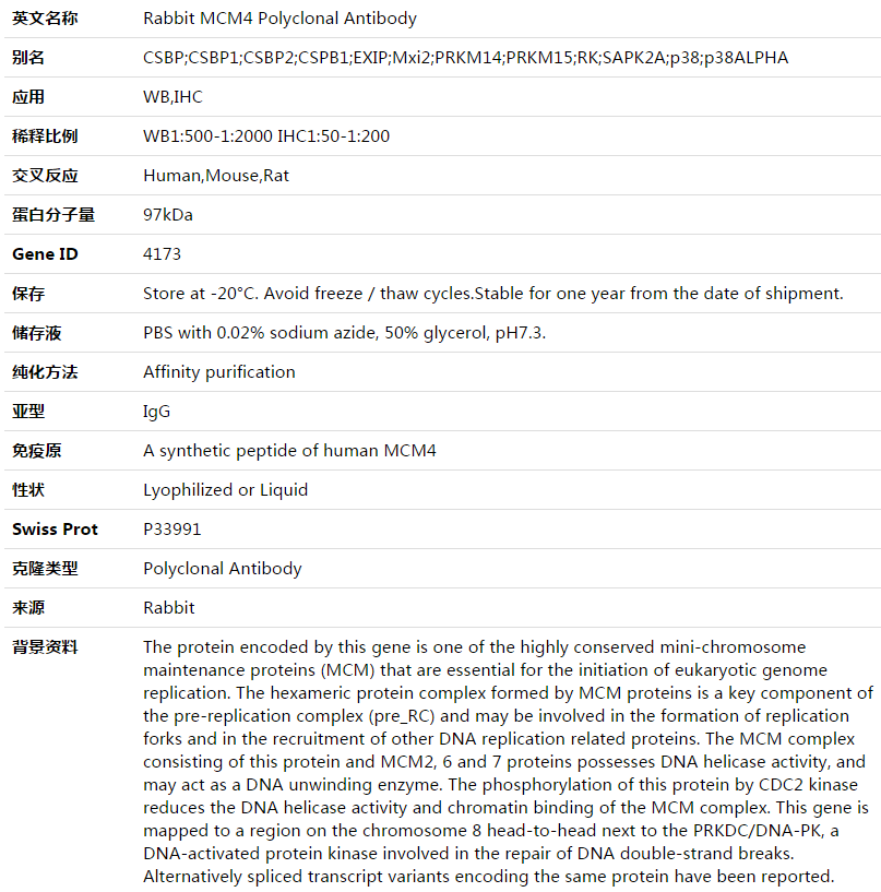 MCM4 Antibody,索莱宝,K003557P-50ul