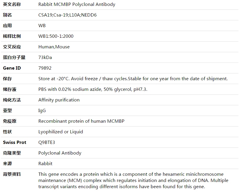 MCMBP Antibody,索莱宝,K003556P-50ul