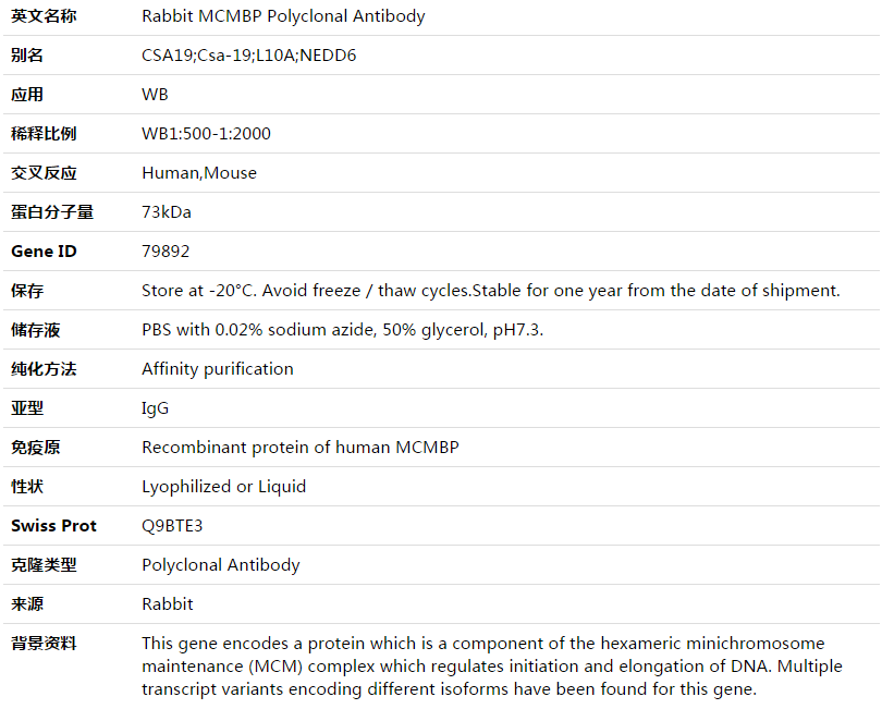 MCMBP Antibody,索莱宝,K003556P-100ul