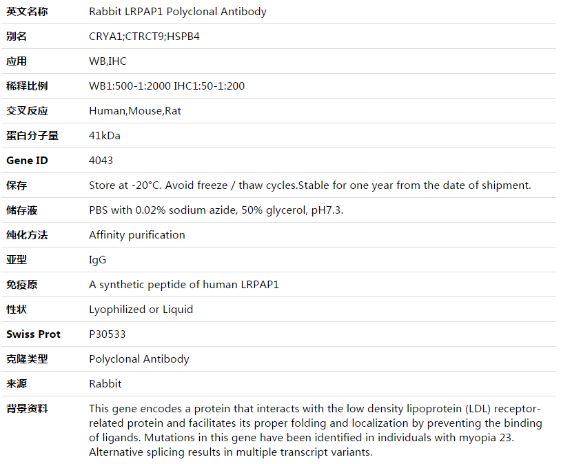 LRPAP1 Antibody,索莱宝,K003553P-50ul