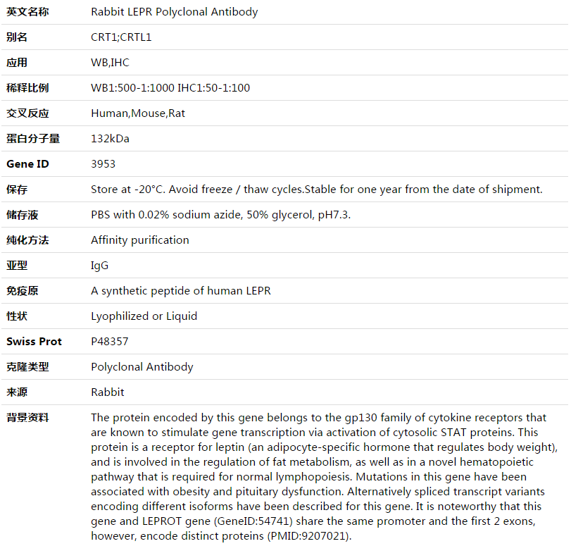 LEPR Antibody,索莱宝,K003552P-50ul