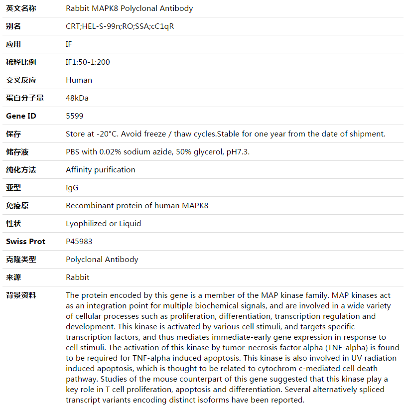 MAPK8 Antibody,索莱宝,K003550P-100ul