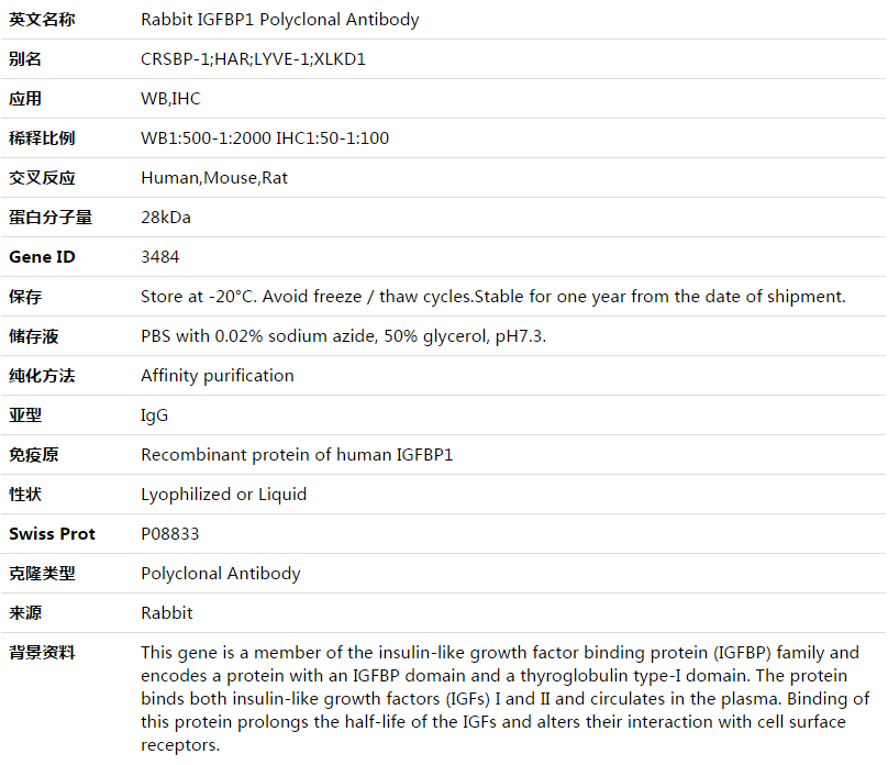 IGFBP1 Antibody,索莱宝,K003549P-30ul