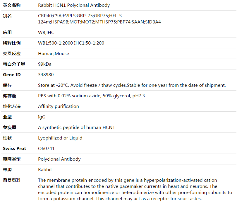 HCN1 Antibody,索莱宝,K003546P-50ul