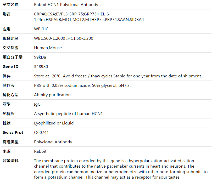 HCN1 Antibody,索莱宝,K003546P-30ul