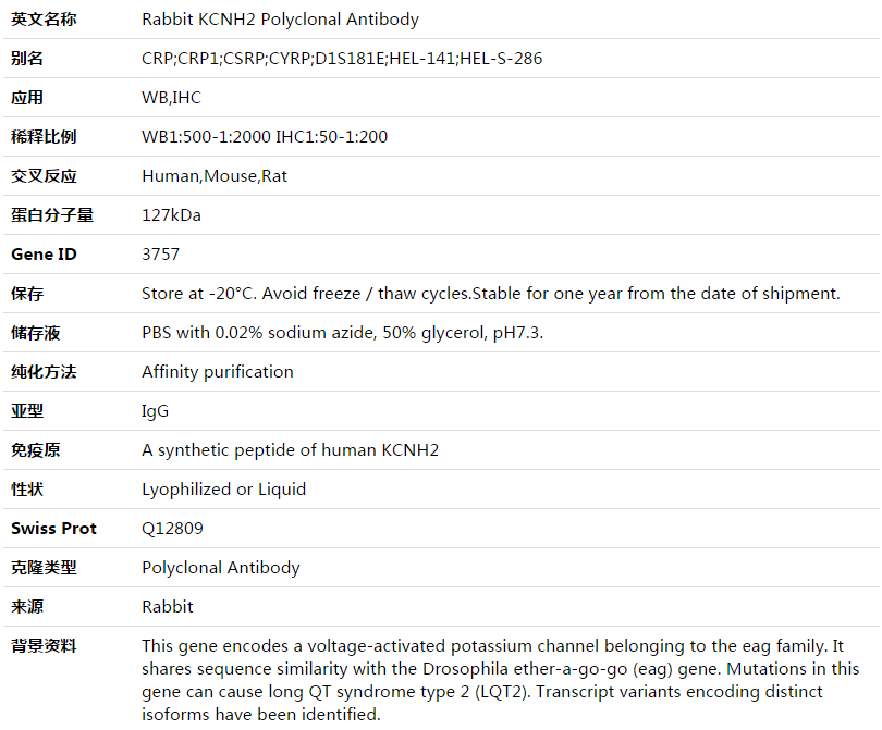 KCNH2 Antibody,索莱宝,K003545P-30ul