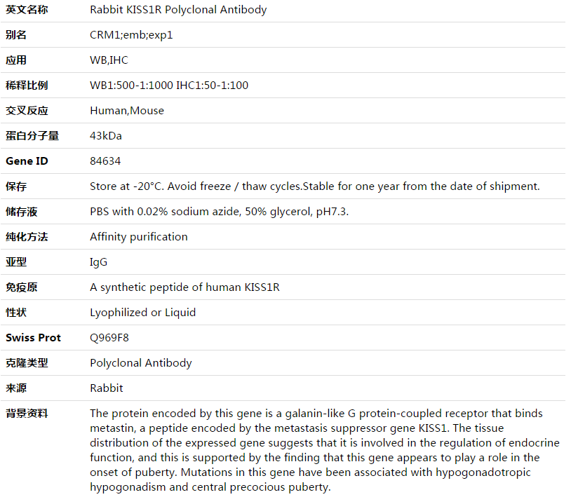 KISS1R Antibody,索莱宝,K003544P-30ul