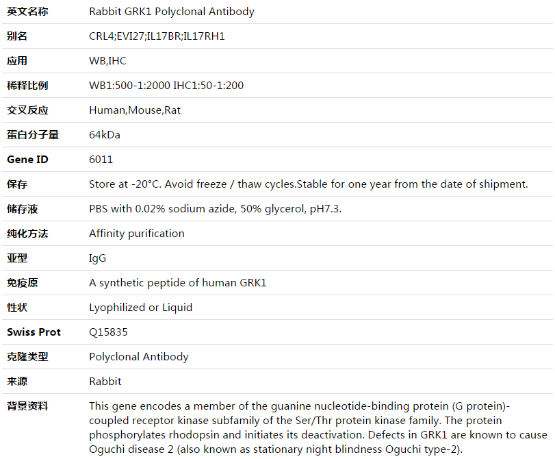 GRK1 Antibody,索莱宝,K003543P-50ul