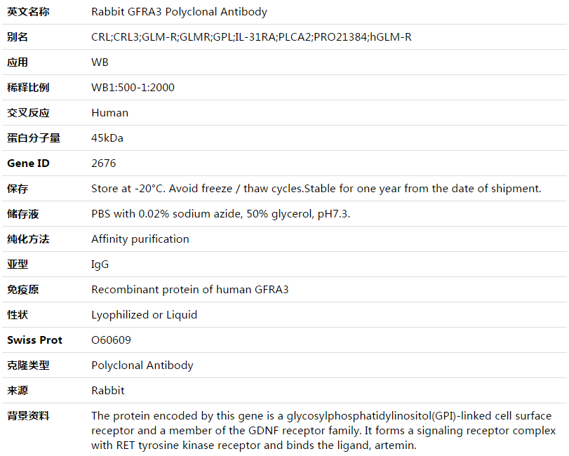 GFRA3 Antibody,索莱宝,K003540P-100ul