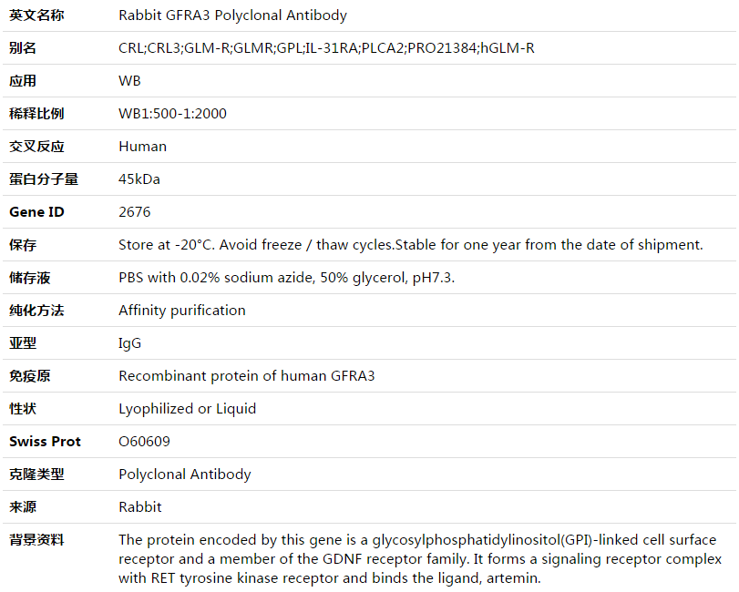GFRA3 Antibody,索莱宝,K003540P-50ul